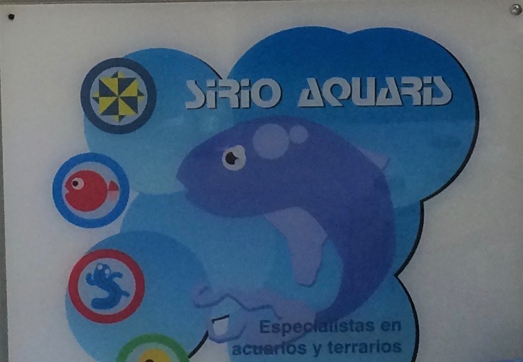 Tienda de animales Sirioaquaris